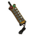 F24-12D Telecrane Wireless Radio Remote Control for Overhead Crane